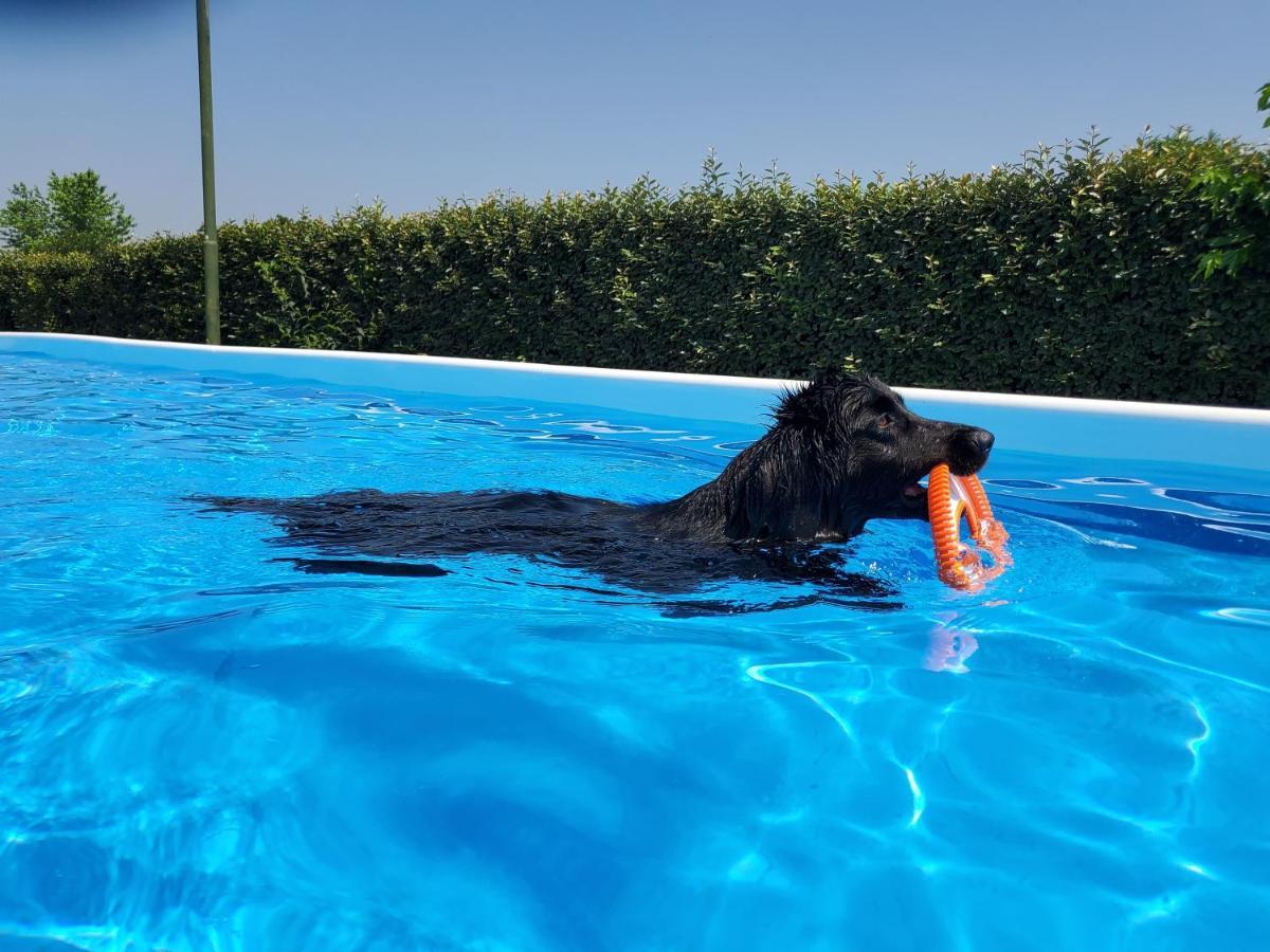Agriturismo Delizia D'Este Francolino Dış mekan fotoğraf